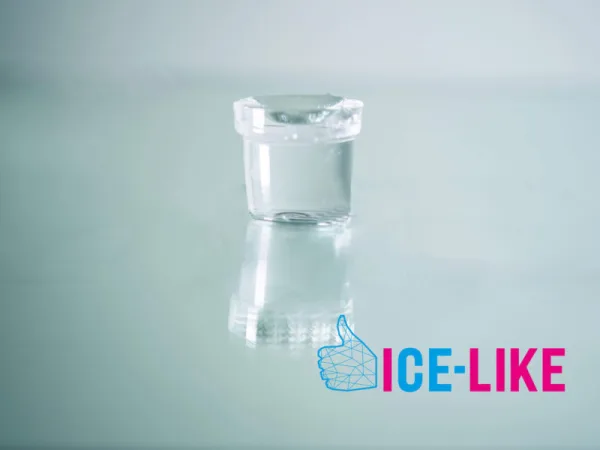 ICE LIKE Ghiaccio Alimentare Milano, foto 9
